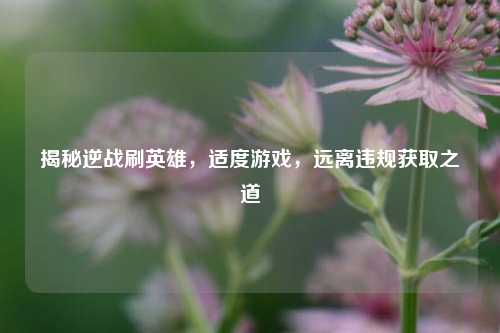 揭秘逆战刷英雄，适度游戏，远离违规获取之道