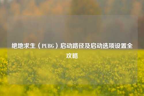绝地求生（PUBG）启动路径及启动选项设置全攻略