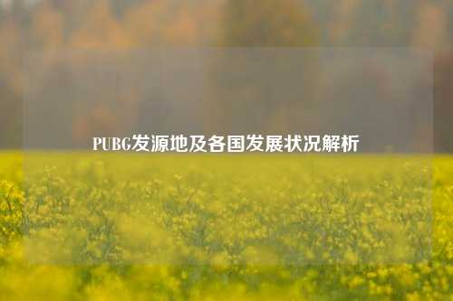 PUBG发源地及各国发展状况解析
