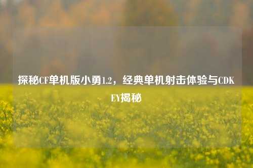 探秘CF单机版小勇1.2，经典单机射击体验与CDKEY揭秘