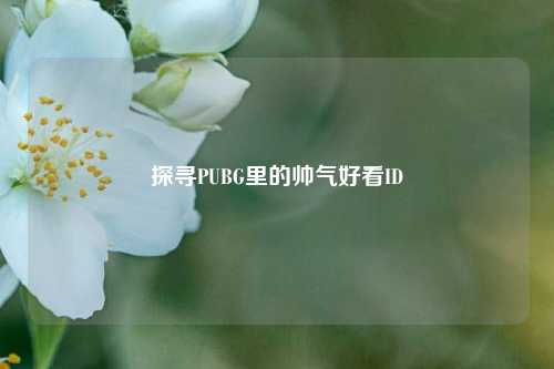 探寻PUBG里的帅气好看ID