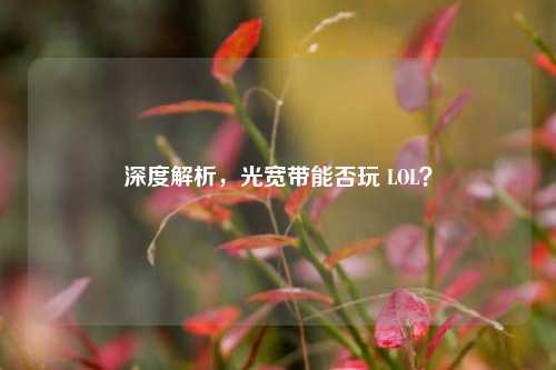 深度解析，光宽带能否玩 LOL？