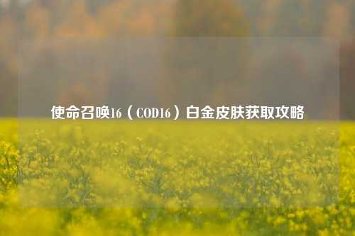 使命召唤16（COD16）白金皮肤获取攻略