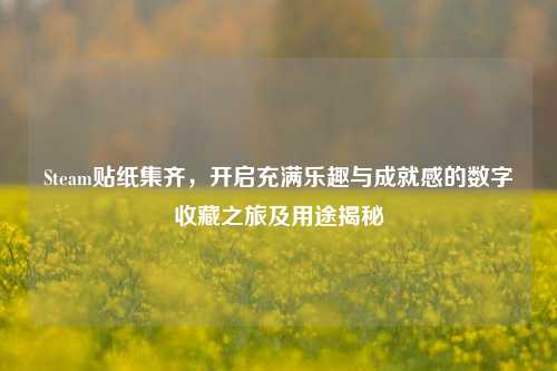 Steam贴纸集齐，开启充满乐趣与成就感的数字收藏之旅及用途揭秘