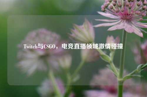 Twitch与CSGO，电竞直播领域激情碰撞