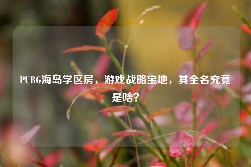 PUBG海岛学区房，游戏战略宝地，其全名究竟是啥？