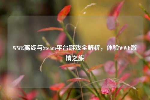 WWE离线与Steam平台游戏全解析，体验WWE激情之旅