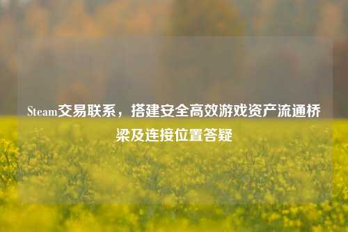 Steam交易联系，搭建安全高效游戏资产流通桥梁及连接位置答疑