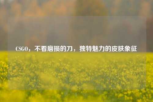 CSGO，不看磨损的刀，独特魅力的皮肤象征