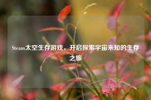 Steam太空生存游戏,开启探索宇宙未知的生存之旅