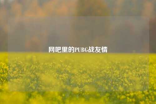 网吧里的PUBG战友情