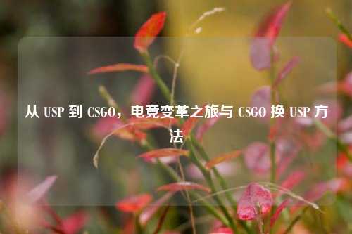 从 USP 到 CSGO，电竞变革之旅与 CSGO 换 USP 方法