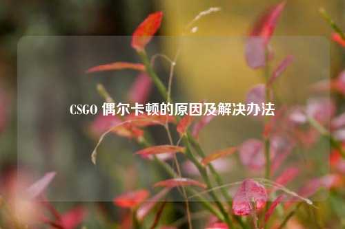 CSGO 偶尔卡顿的原因及解决办法