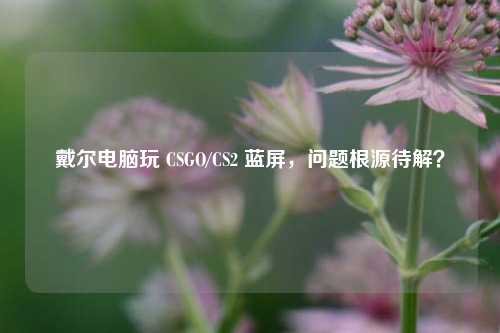 戴尔电脑玩 CSGO/CS2 蓝屏，问题根源待解？