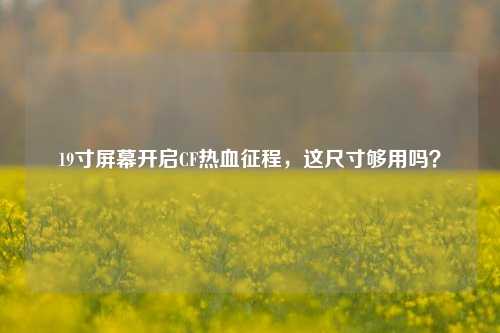 19寸屏幕开启CF热血征程，这尺寸够用吗？