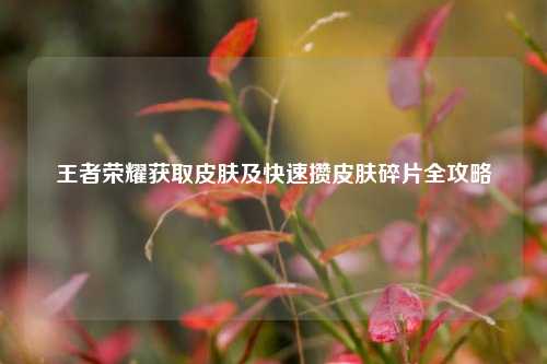 王者荣耀获取皮肤及快速攒皮肤碎片全攻略