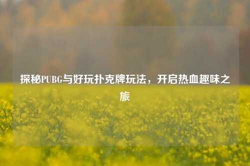 探秘PUBG与好玩扑克牌玩法，开启热血趣味之旅