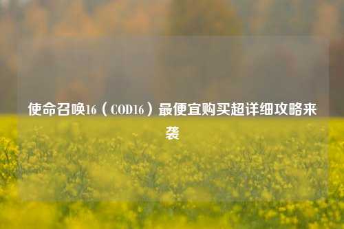 使命召唤16（COD16）最便宜购买超详细攻略来袭