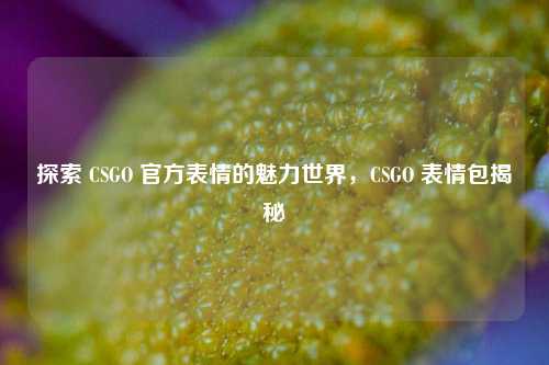 探索 CSGO 官方表情的魅力世界，CSGO 表情包揭秘