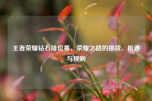 王者荣耀钻石排位赛，荣耀之路的挑战、机遇与规则
