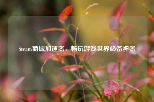 Steam商城加速器，畅玩游戏世界必备神器