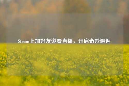Steam上加好友邀看直播，开启奇妙邂逅