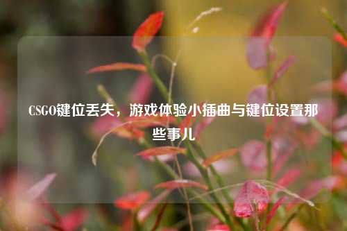 CSGO键位丢失，游戏体验小插曲与键位设置那些事儿