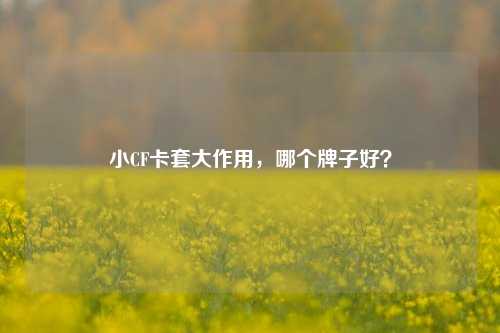 小CF卡套大作用，哪个牌子好？