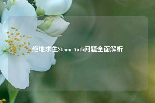 绝地求生Steam Auth问题全面解析