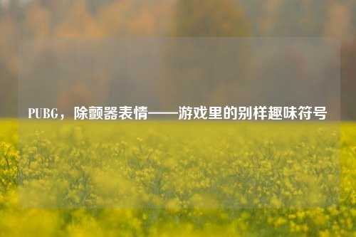 PUBG，除颤器表情——游戏里的别样趣味符号