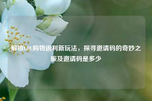 解锁LOL购物返利新玩法，探寻邀请码的奇妙之旅及邀请码是多少