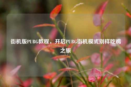街机版PUBG教程，开启PUBG街机模式别样吃鸡之旅