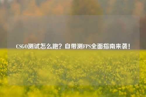 CSGO测试怎么跑？自带测FPS全面指南来袭！