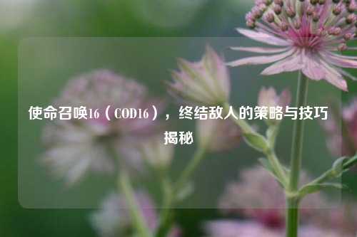 使命召唤16（COD16），终结敌人的策略与技巧揭秘