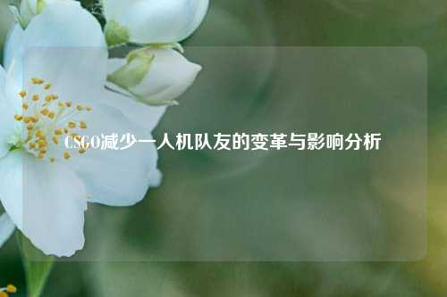 CSGO减少一人机队友的变革与影响分析