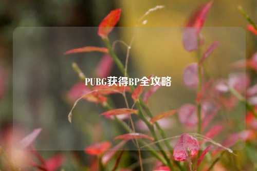 PUBG获得BP全攻略