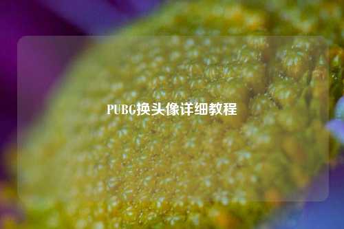 PUBG换头像详细教程