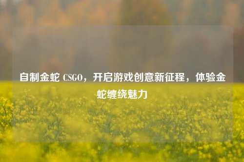 自制金蛇 CSGO，开启游戏创意新征程，体验金蛇缠绕魅力