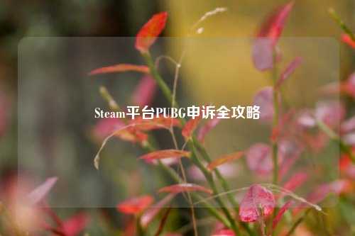 Steam平台PUBG申诉全攻略