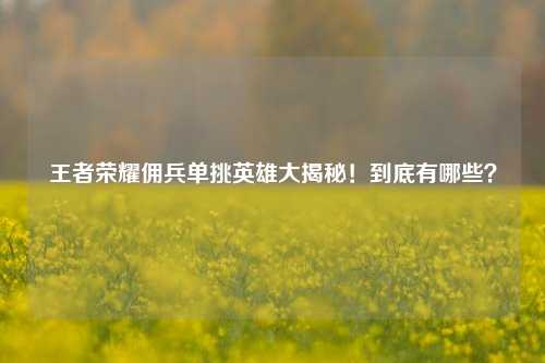 王者荣耀佣兵单挑英雄大揭秘！到底有哪些？