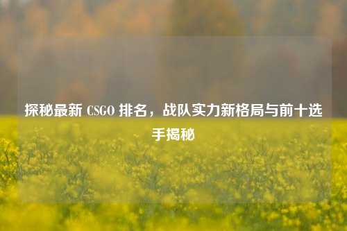 探秘最新 CSGO 排名，战队实力新格局与前十选手揭秘