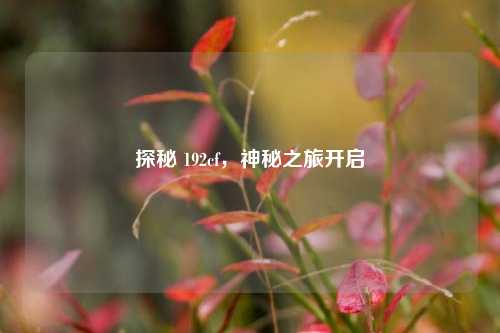 探秘 192cf，神秘之旅开启