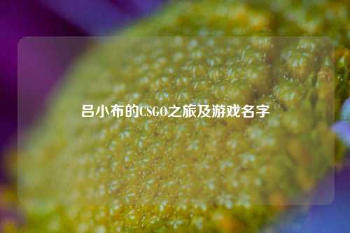 吕小布的CSGO之旅及游戏名字