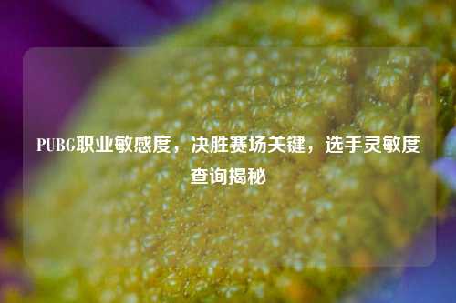 PUBG职业敏感度，决胜赛场关键，选手灵敏度查询揭秘