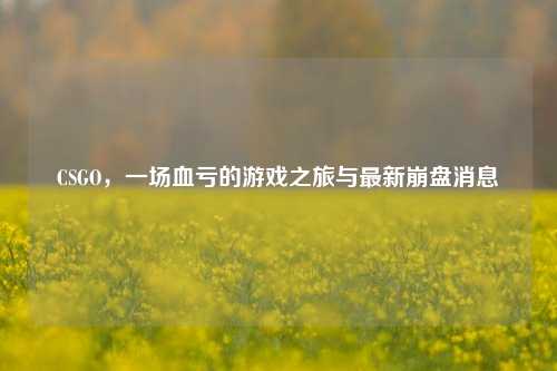 CSGO，一场血亏的游戏之旅与最新崩盘消息