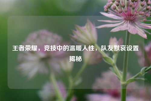 王者荣耀，竞技中的温暖人性，队友默哀设置揭秘