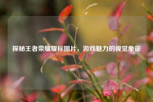 探秘王者荣耀耀标图片，游戏魅力的视觉象征