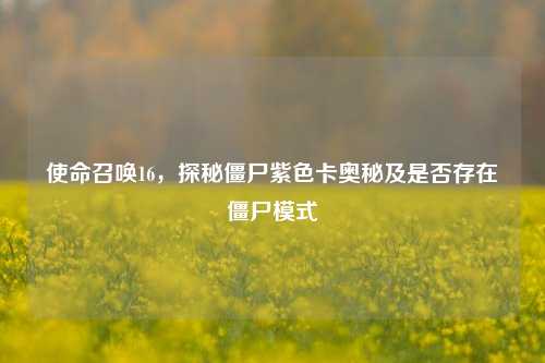 使命召唤16，探秘僵尸紫色卡奥秘及是否存在僵尸模式