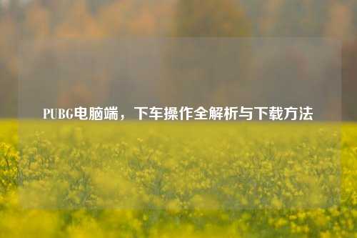 PUBG电脑端，下车操作全解析与下载方法